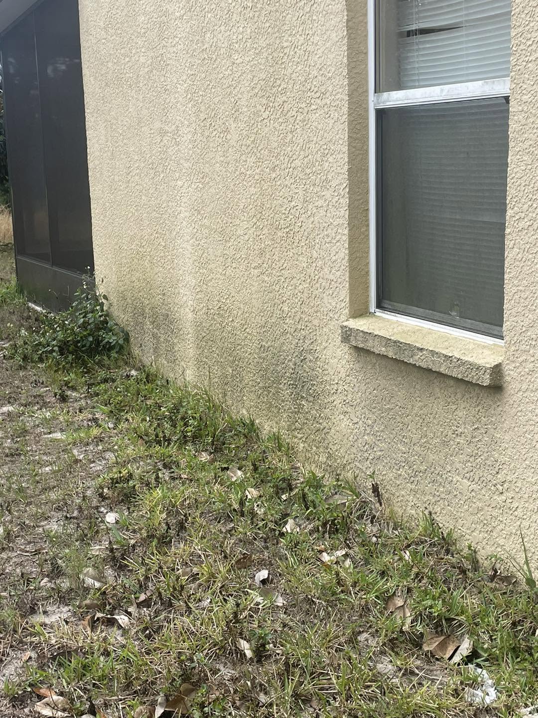 Algae and mildew staining on a Florida home before soft washing